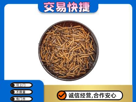 三明市宁化高价回收散虫草