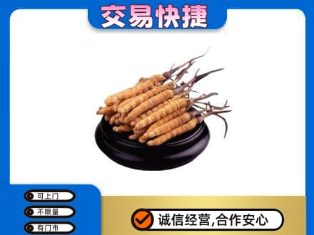三明市宁化回收冬虫夏草多少钱每克